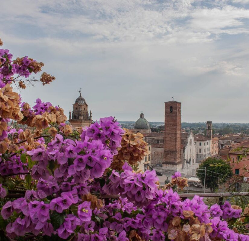 Tuscan landscape with flowers in Lucca