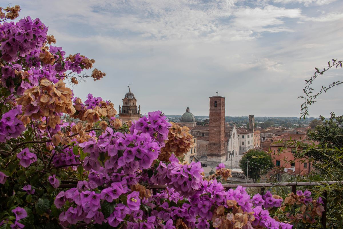 Tuscan landscape with flowers in Lucca